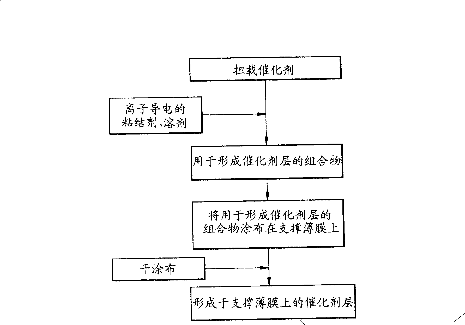 Catalyst coated membrane, membrane electrode assembly containing the same, method of producing the same, and fuel cell including the membrane electrode assembly