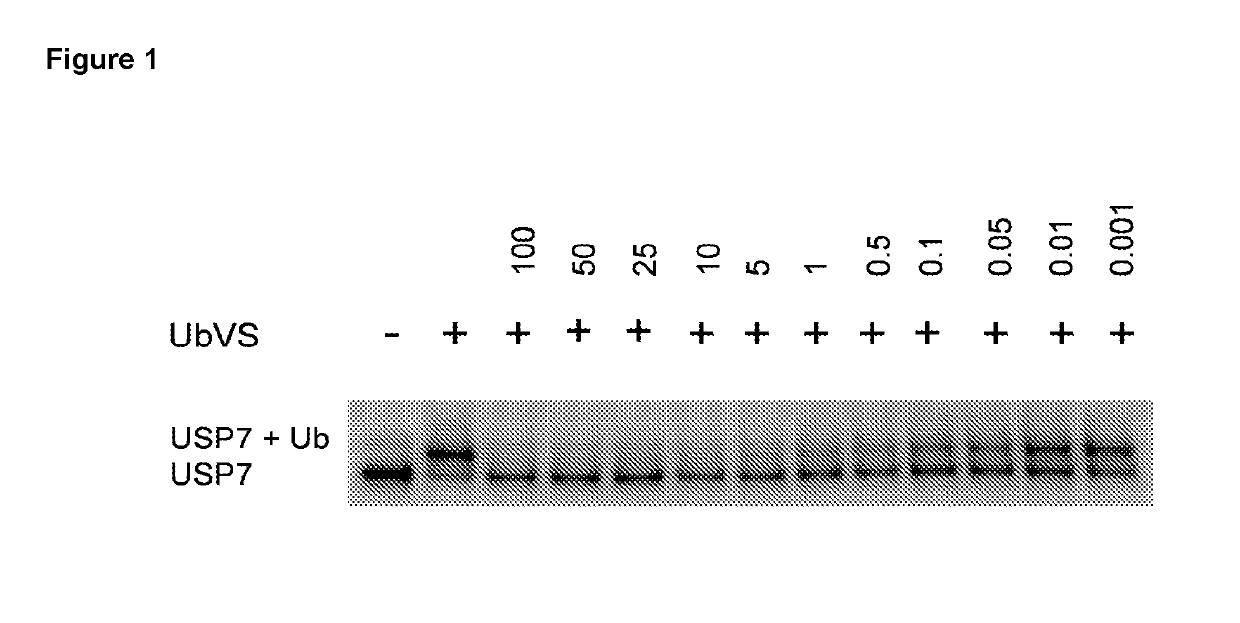 Piperidine derivatives as inhibitors of ubiquitin specific protease 7