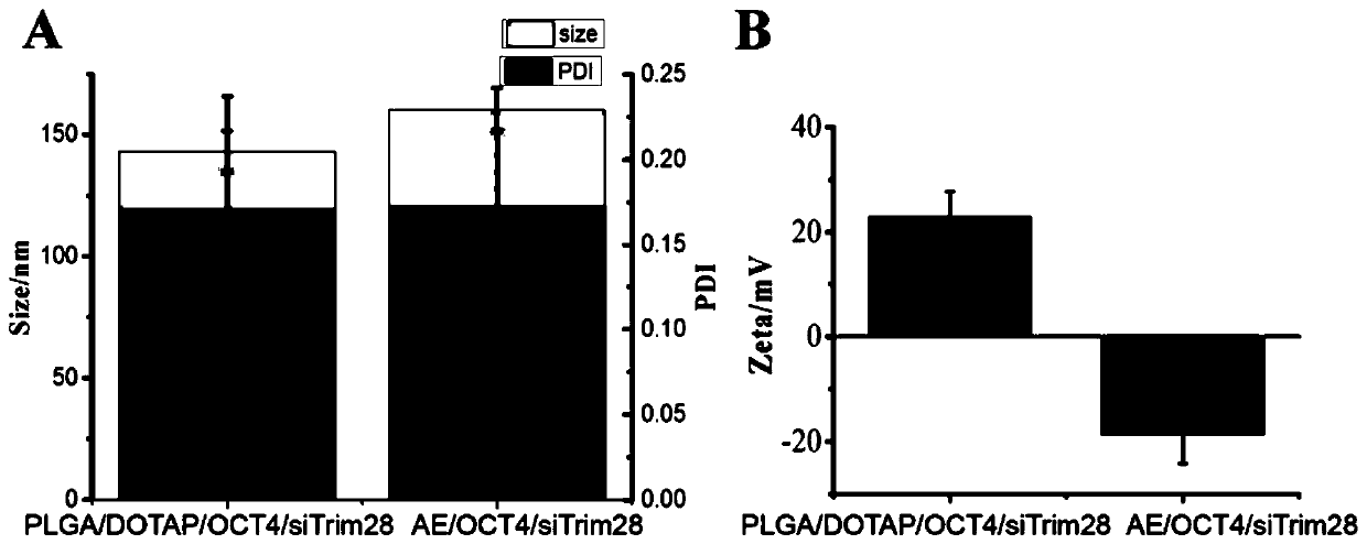 Artificial exosomes, preparation method and application thereof