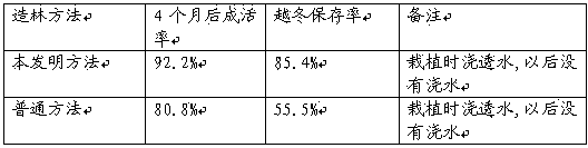 Drought-resisting afforestation method