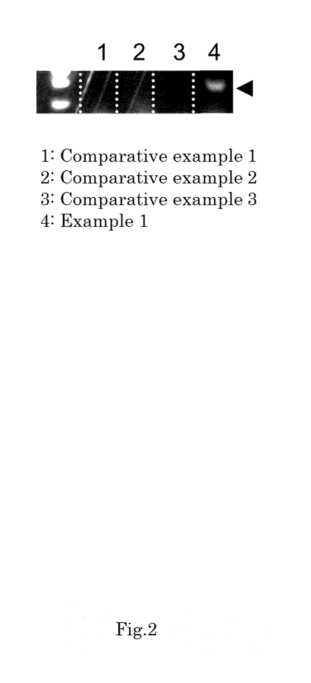 Method for identifying olfactory receptor included in one olfactory cell