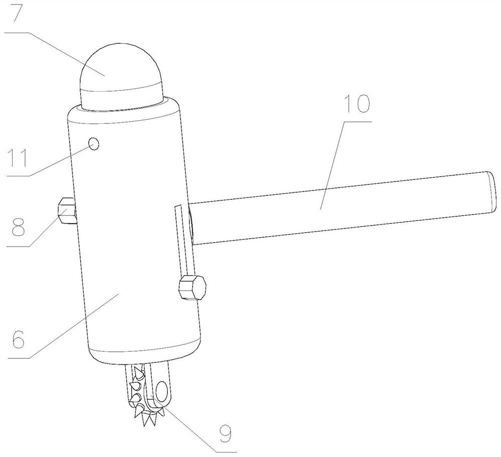 Pain sense detection device and method for neurology department