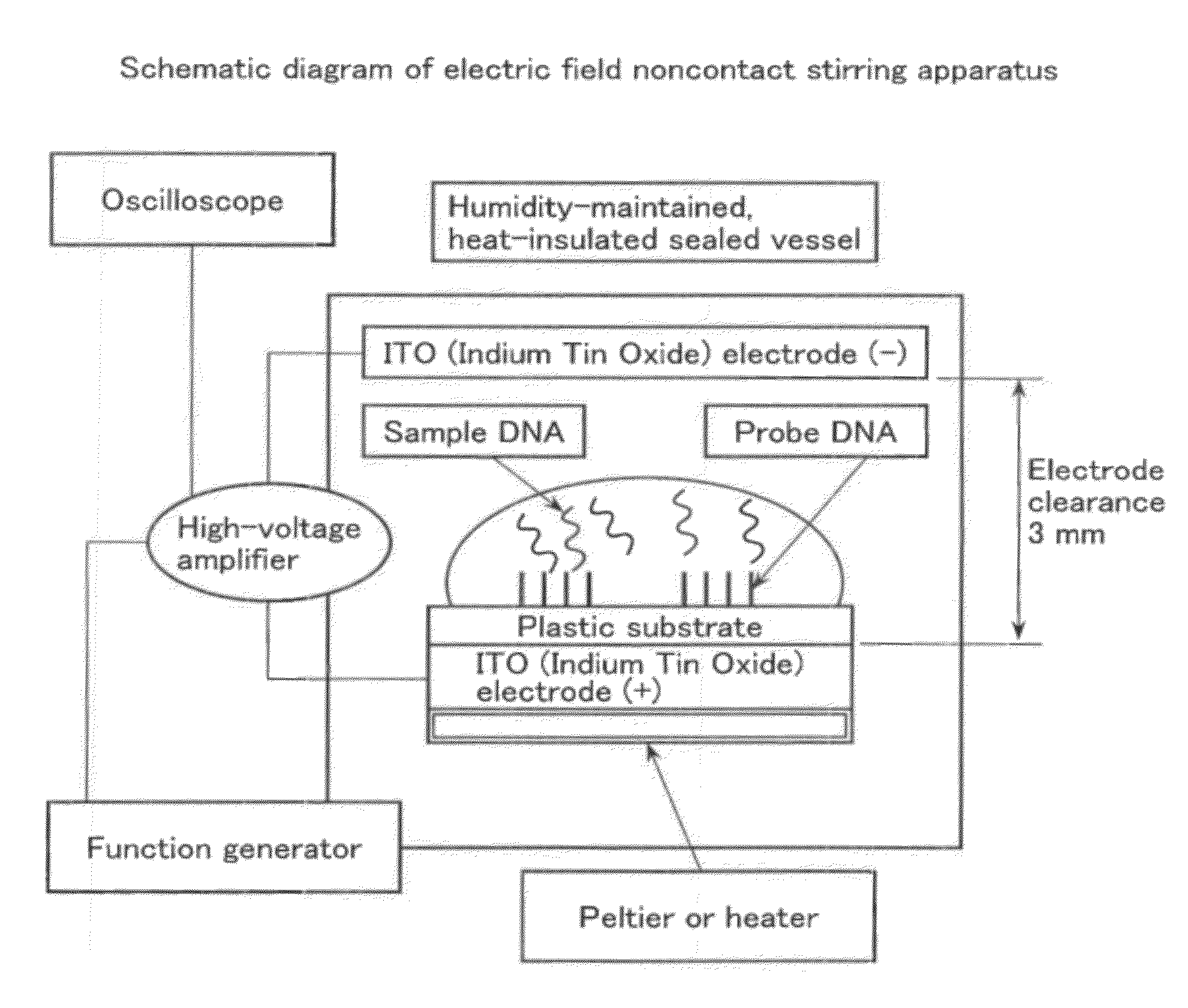 Noncontact stirring method, noncontact stirring apparatus, method and apparatus for reacting nucleic acid hybridization using the apparatus, method for detecting nucleic acid in sample, apparatus for detecting nucleic acid, method for detecting antibody in sample, apparatus for detecting antibody