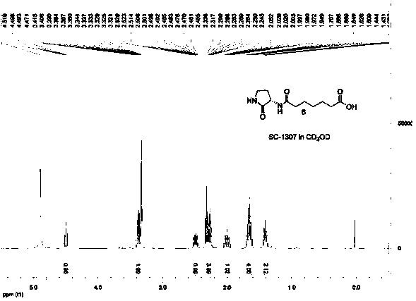 N-(3-oxo-dodecanoyl)-L-homoserine lactone aptamer, its screening method and application