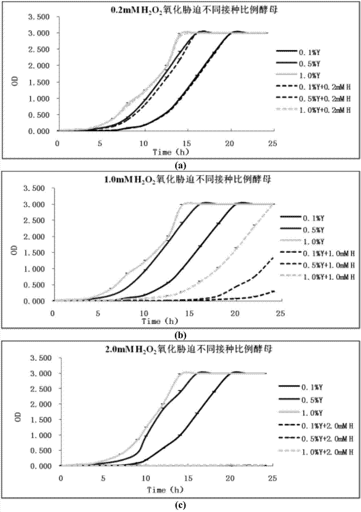 Method for evaluating antioxidant activity of antioxidant substance