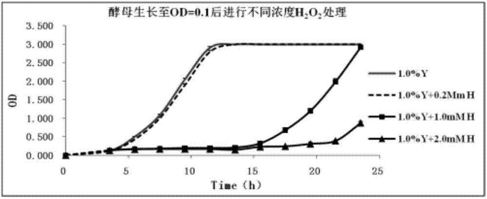 Method for evaluating antioxidant activity of antioxidant substance