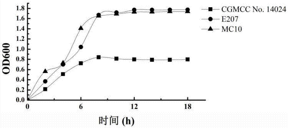 Lactococcus lactis lactate subspecies with high output of hexanoic acid and its application