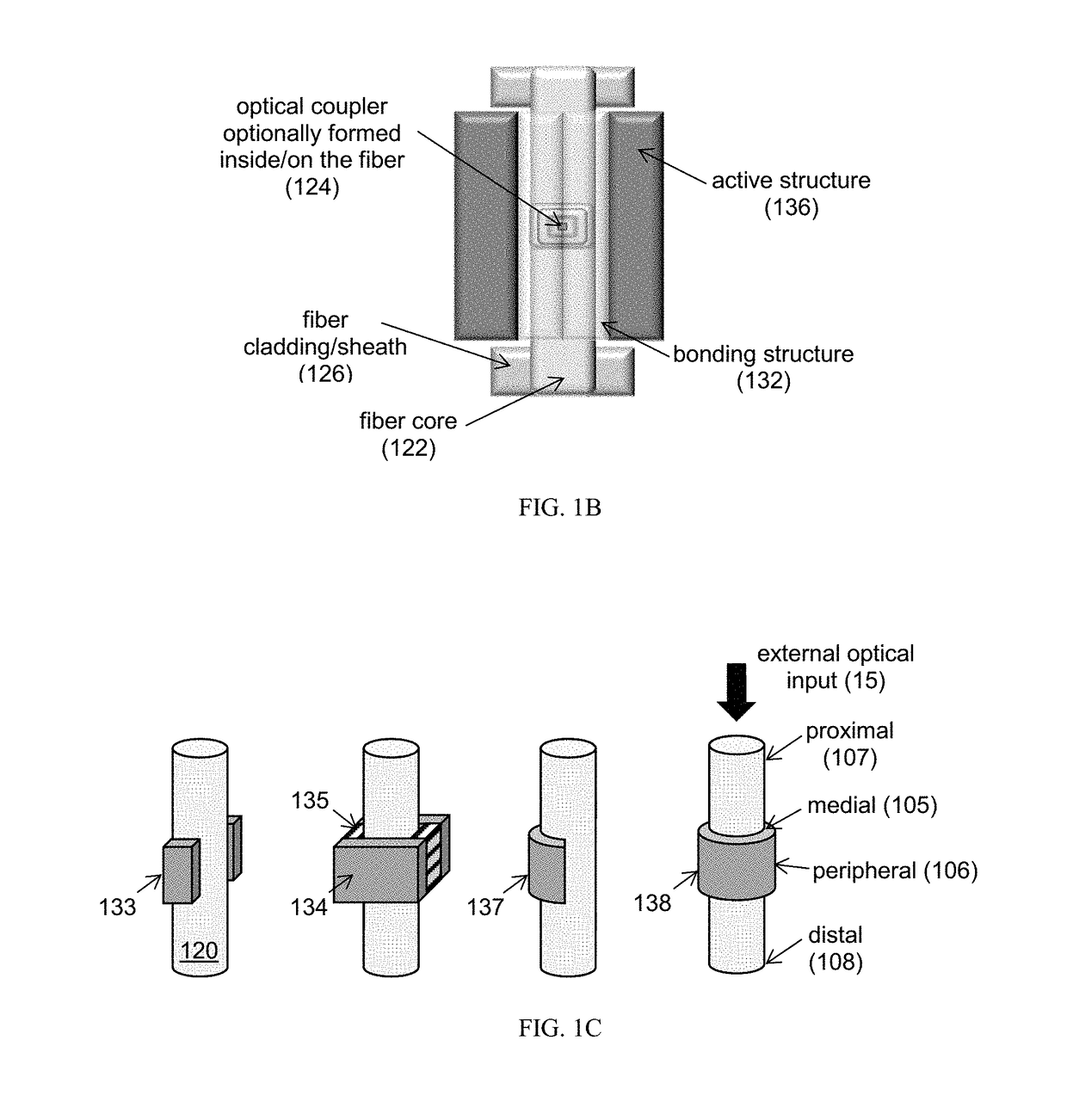 Optoelectronic system and apparatus for connection to biological systems