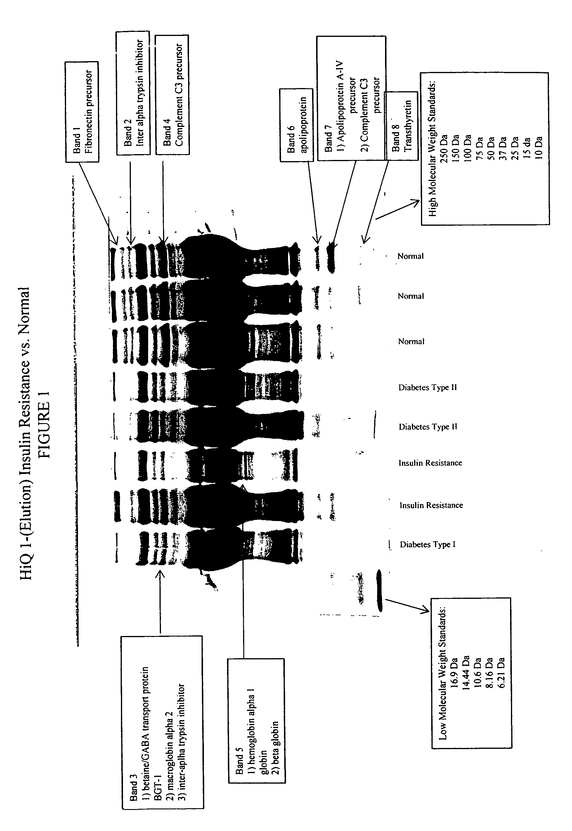 Inter-alpha trypsin inhibitor biopolymer marker indicative of insulin resistance