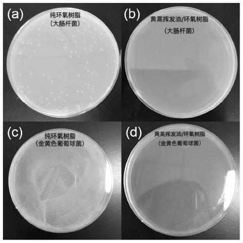 Preparation method of artemisia scoparia volatile oil/epoxy resin composite material