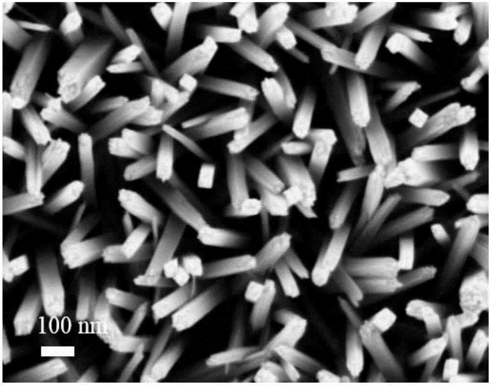 Monocrystalline TiO2 nanometer rod-based polychlorinated biphenyl photoelectrochemistry analysis method