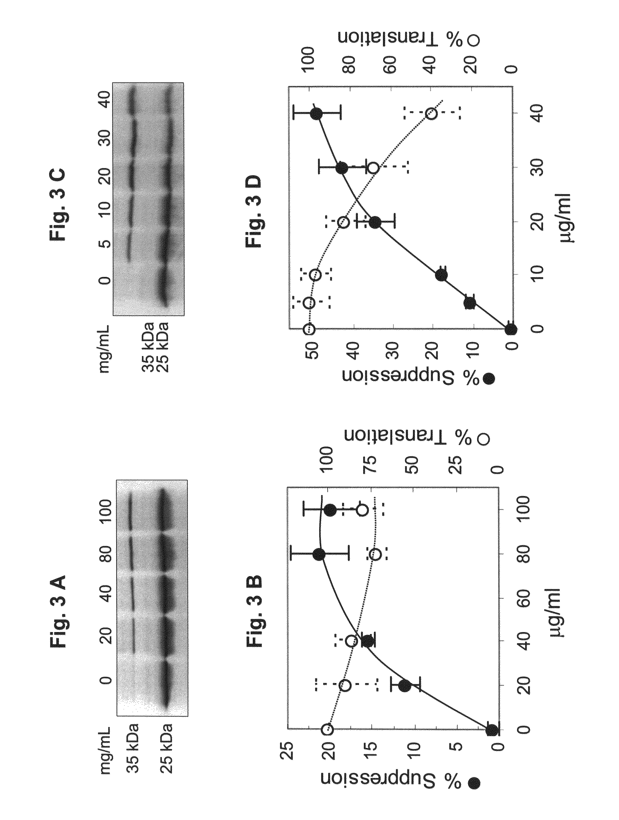 Aminoglycosides and uses thereof in the treatment of genetic disorders