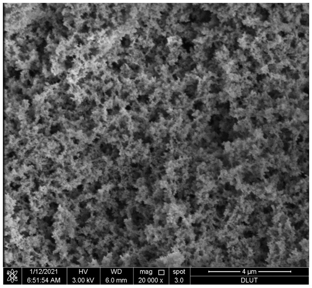 A low-density high-strength phenolic resin airgel with extremely low shrinkage and a normal-pressure drying preparation method