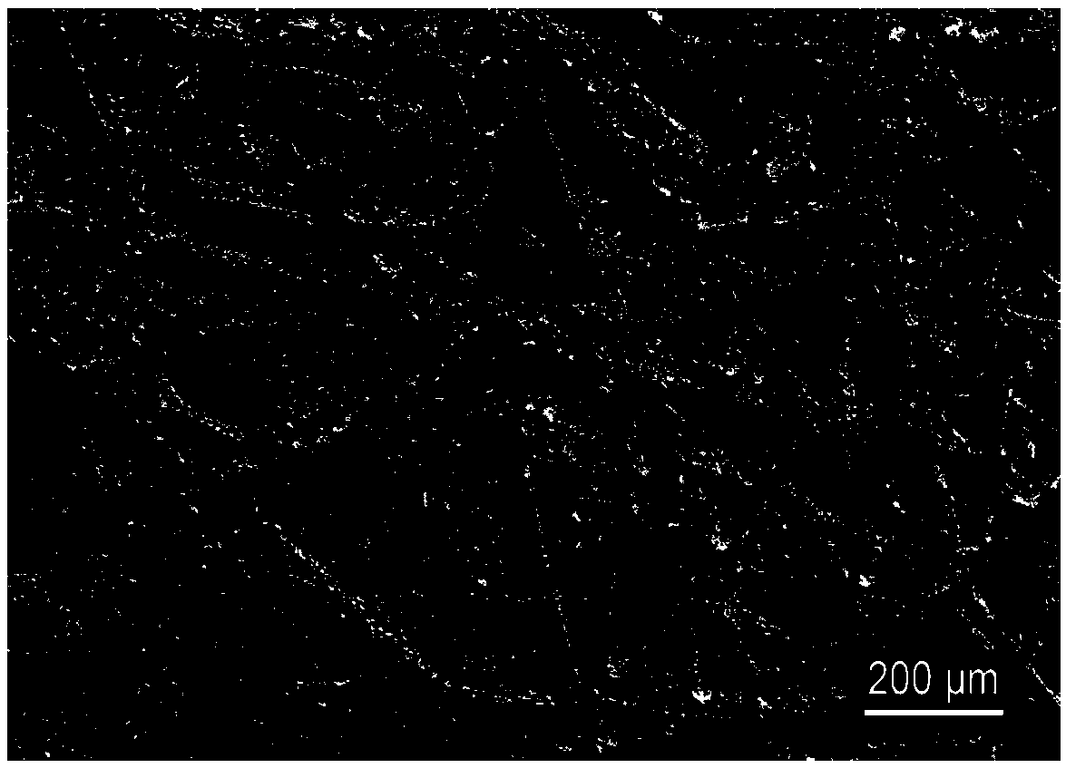 Self-cleaning type titanium dioxide nano-fiber membrane material as well as preparation method and application thereof