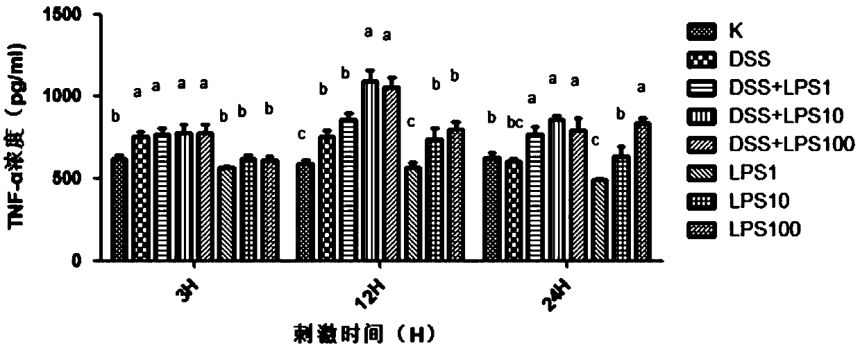 Establishment method of inflammation model of mice primary colonic epithelial cells induced by dextran sodium sulfate combined with lipopolysaccharides