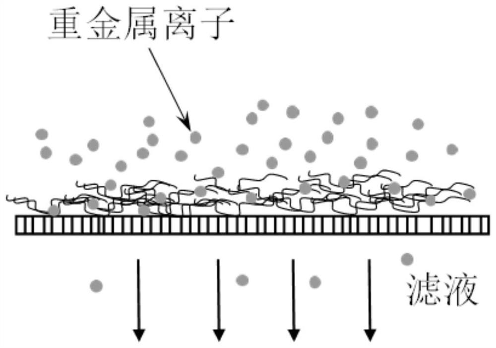 Method for recovery of extracellular polymers in excess sludge and removal of heavy metal ions