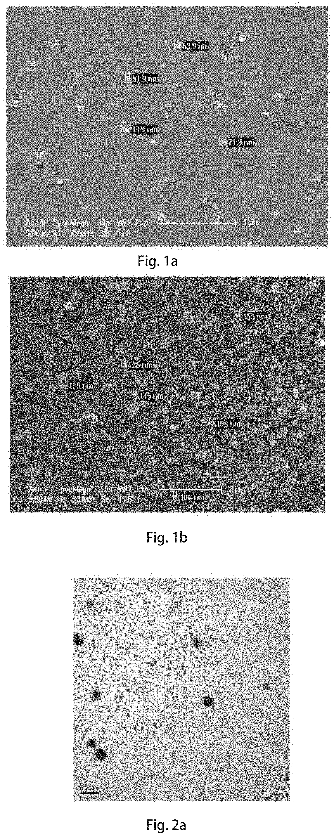 Intranasal NANO inducer for preventing and treating neurodegenerative diseases and method thereof