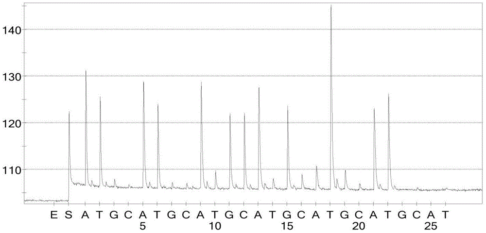 Primer set for rapid detection of gyra gene mutation in Campylobacter jejuni and its application