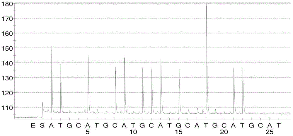 Primer set for rapid detection of gyra gene mutation in Campylobacter jejuni and its application