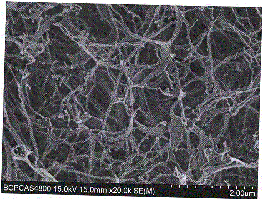 Novel positive electrode isolation layer applied to lithium-sulfur battery, and preparation method for novel positive electrode isolation layer