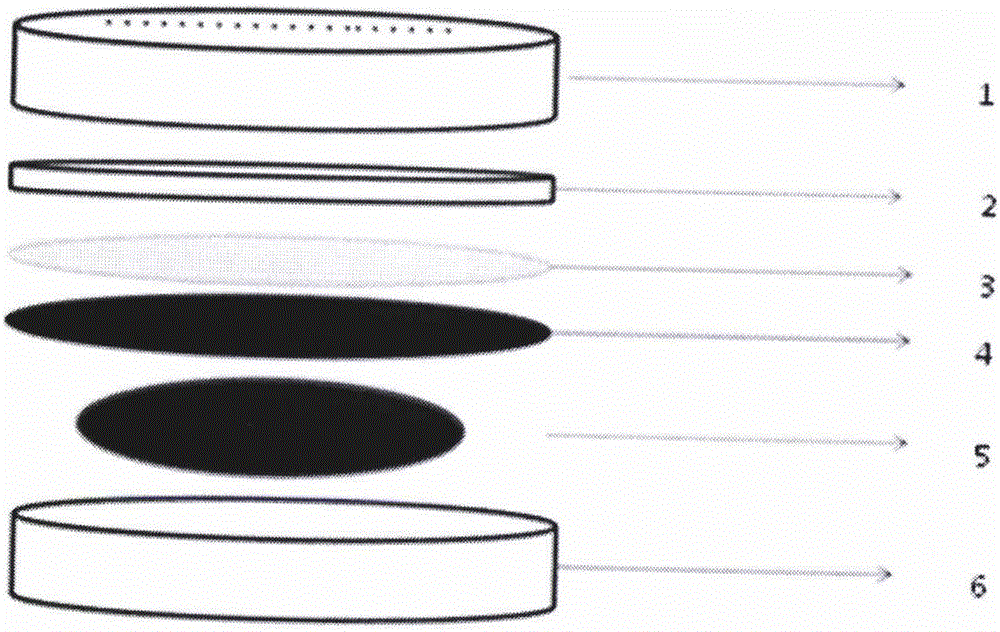 Novel positive electrode isolation layer applied to lithium-sulfur battery, and preparation method for novel positive electrode isolation layer