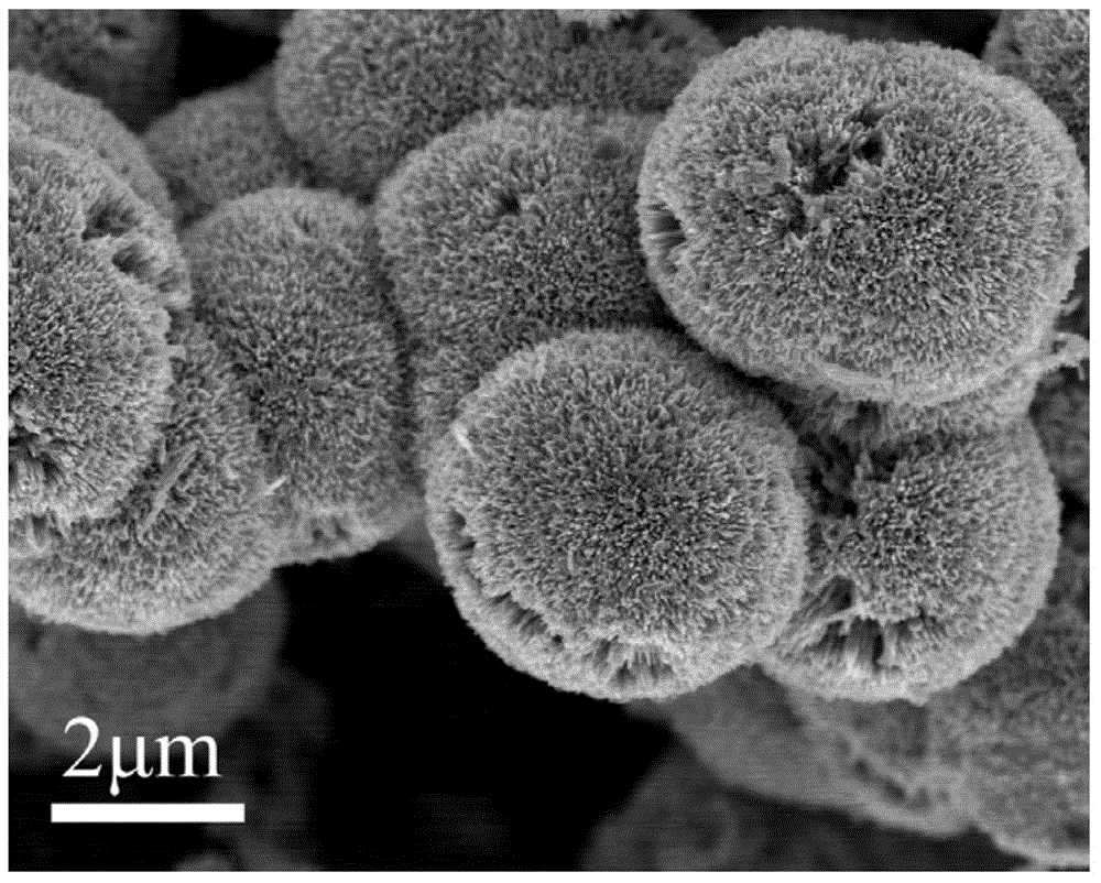 Wavy MoS2 nanosheet inlaid TiO2 dandelion nanosphere composite heterojunction semiconductor material and preparation method thereof