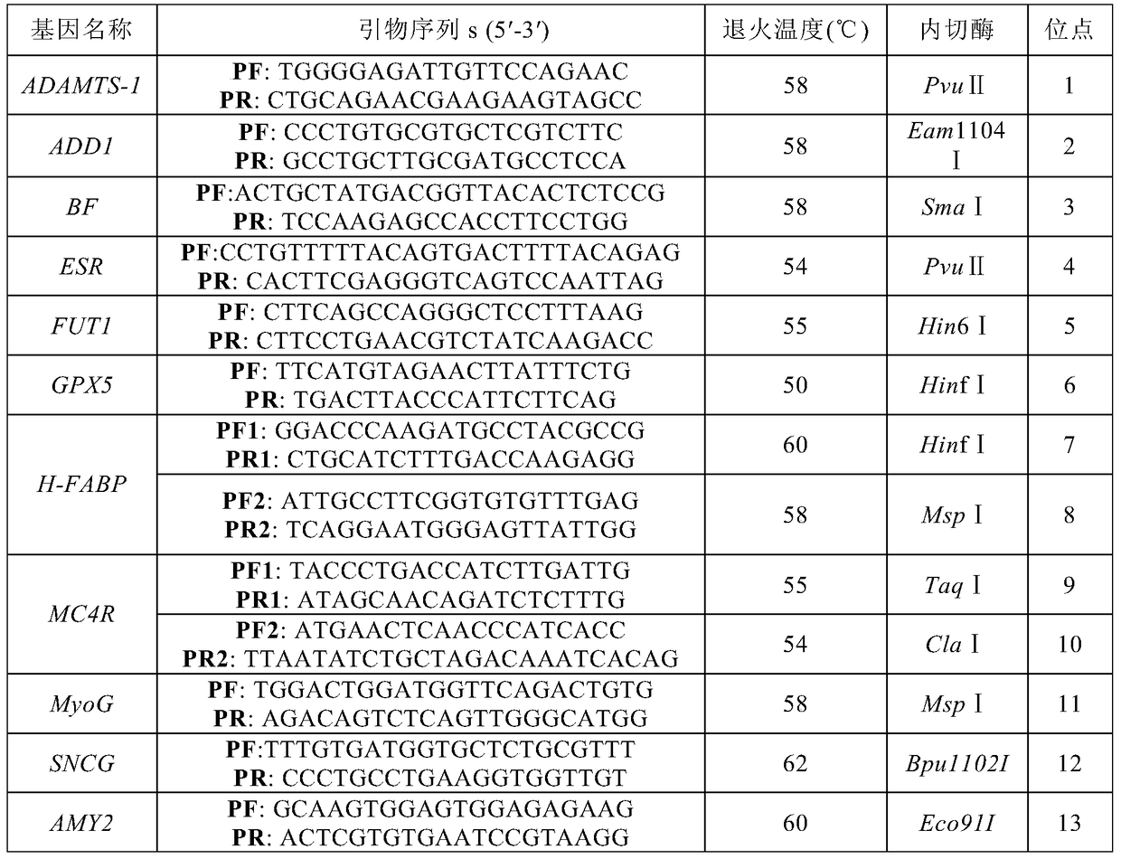 A SNP molecular marker for traceability on pig chromosome 6 and its application