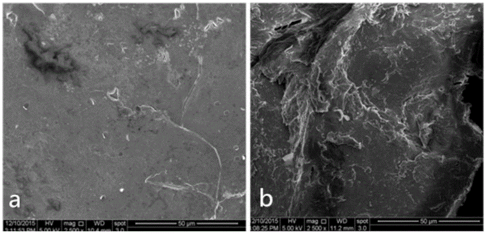 Green and environment-friendly method for preparing alkaline water-soluble chitosan derivative