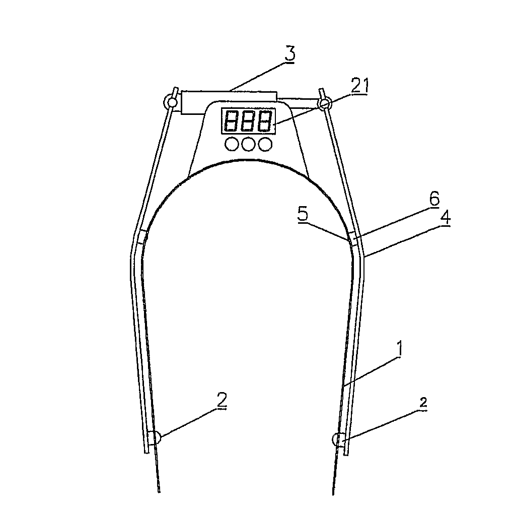 Apparatus for Stimulation and Artificial Insemination of Animals