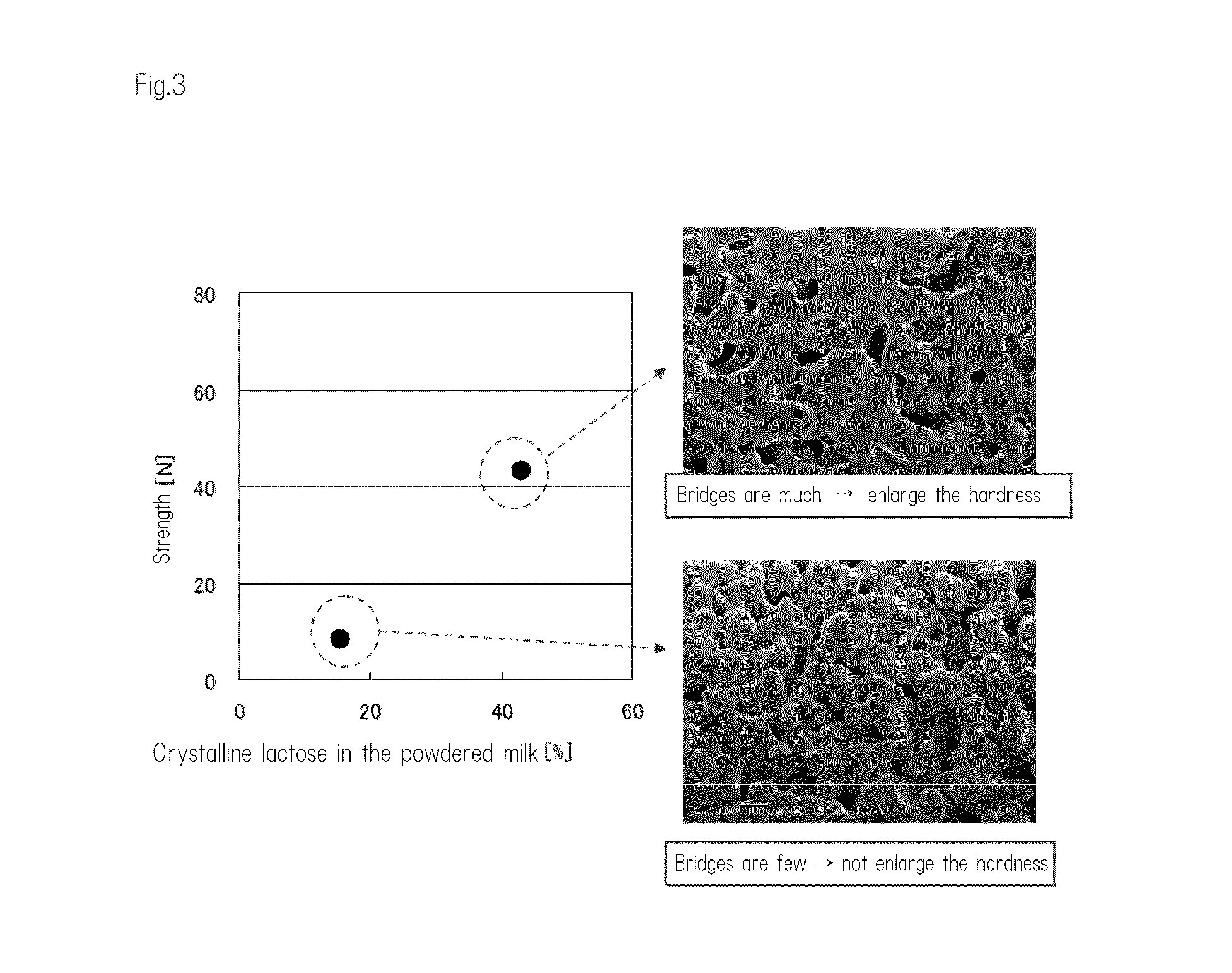 Solid Milk And The Method Of Manufacturing Thereof