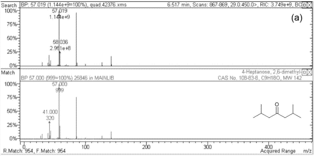 Preparation method of branched paraffin in range of gasoline, aviation kerosene or diesel