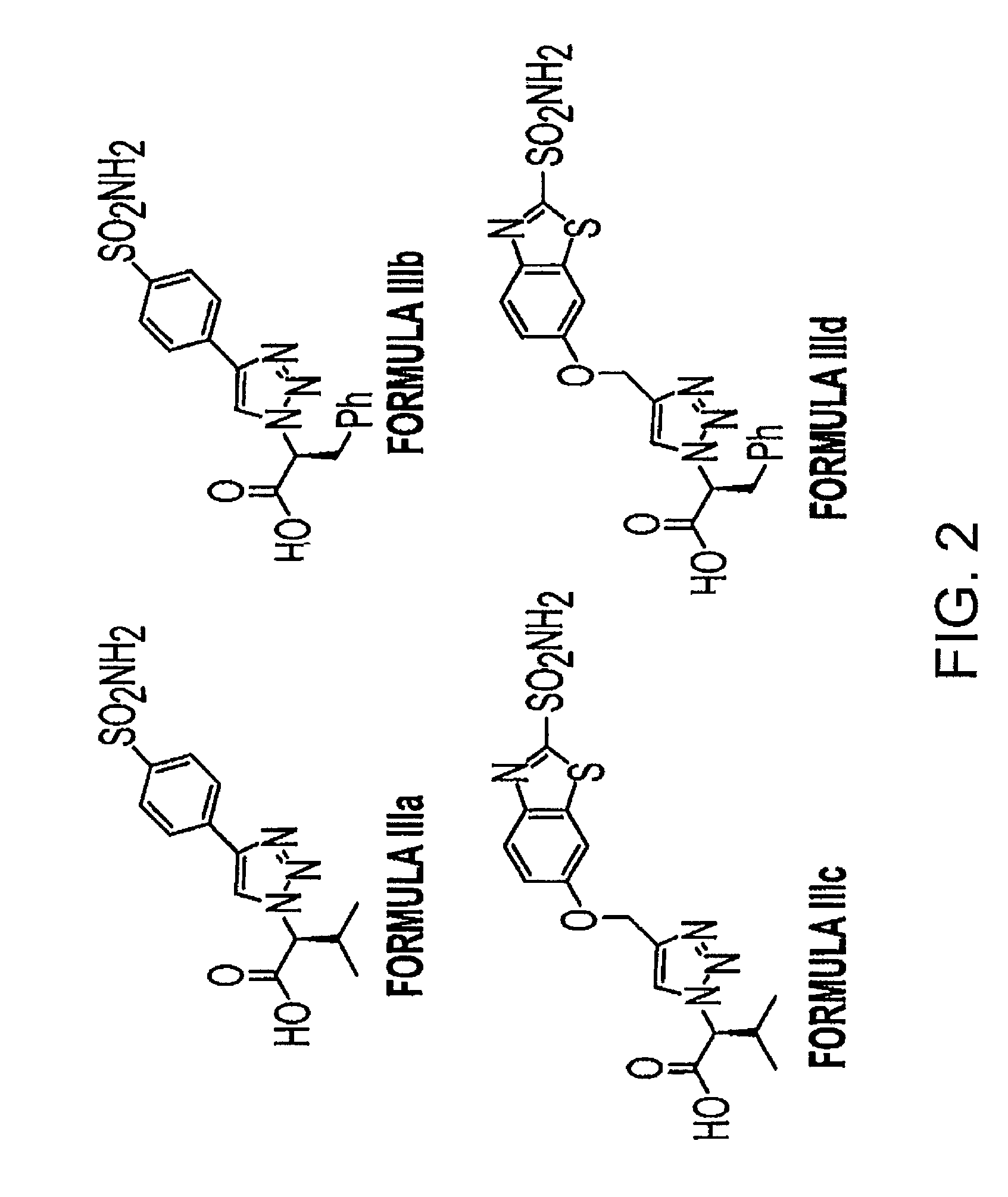 Development of molecular imaging probes for carbonic anhydrase-IX using click chemistry