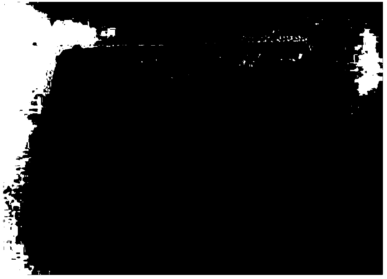 Method for laser cladding Ni-based alloy+B4C wild phase on Q550 steel