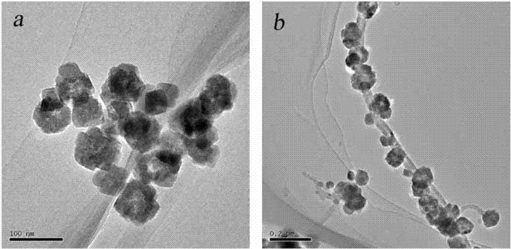 Magnetic carbon nanotube composite material and preparation method and application thereof