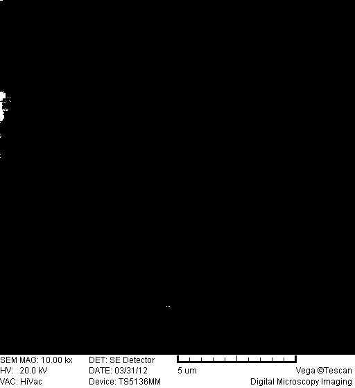 Preparation method and application for magnetic molecularly imprinted polymers for selectively separating carbamazepine