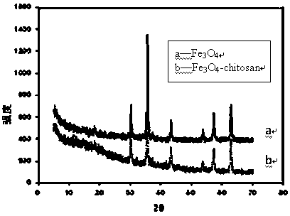 Preparation method and application for magnetic molecularly imprinted polymers for selectively separating carbamazepine