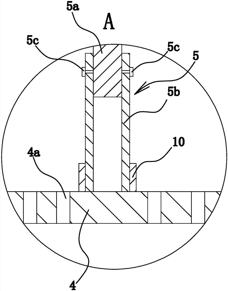 Domestic wine brewing device