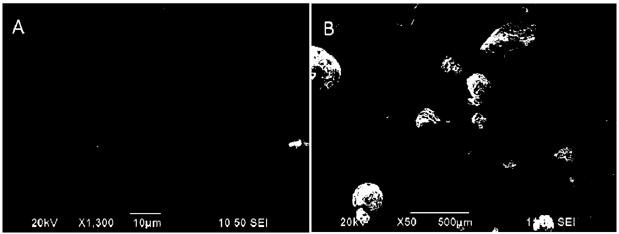 Multiple sustained release vascular embolization drug-loading composition