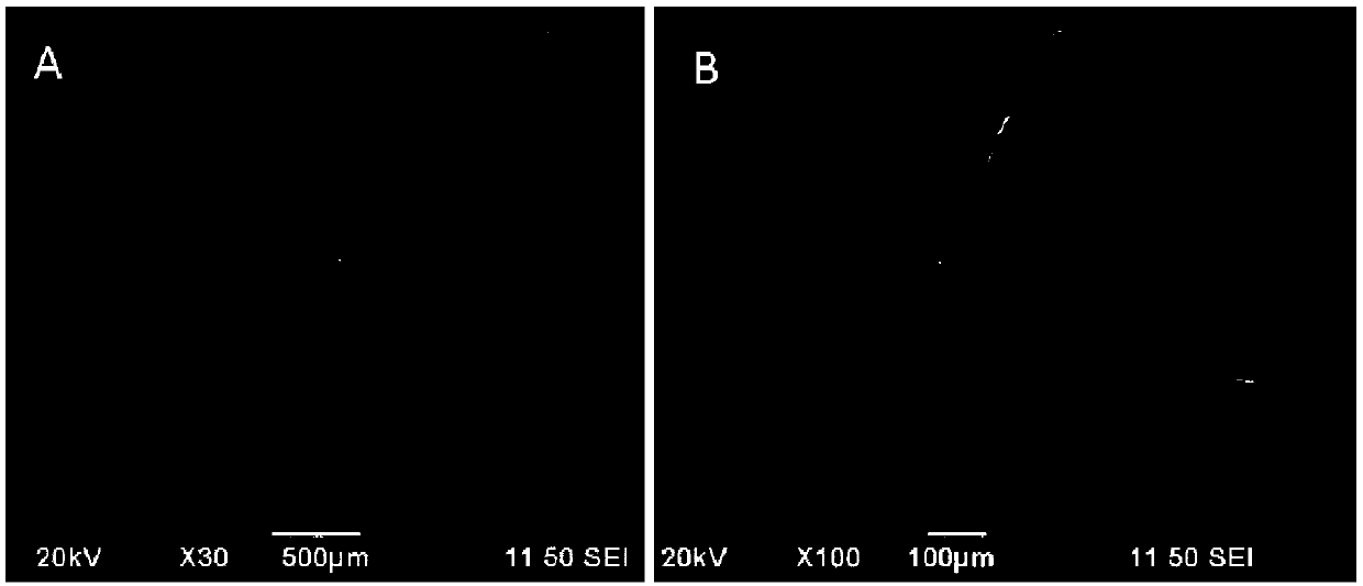 Multiple sustained release vascular embolization drug-loading composition