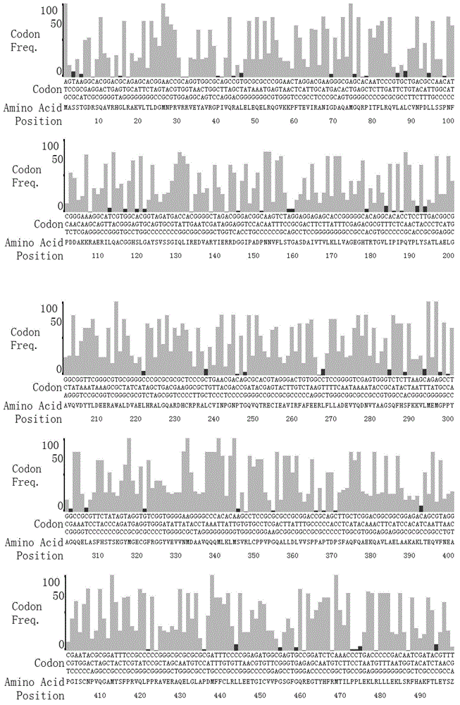 Recombinant human alanine aminotransferase protein standard, recombinant human aspartate aminotransferase protein standard, and preparation methods thereof