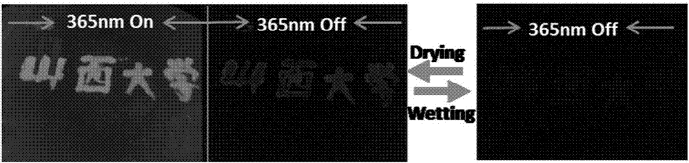 Matrix-free phosphorescent carbon quantum dot as well as preparation method and application thereof