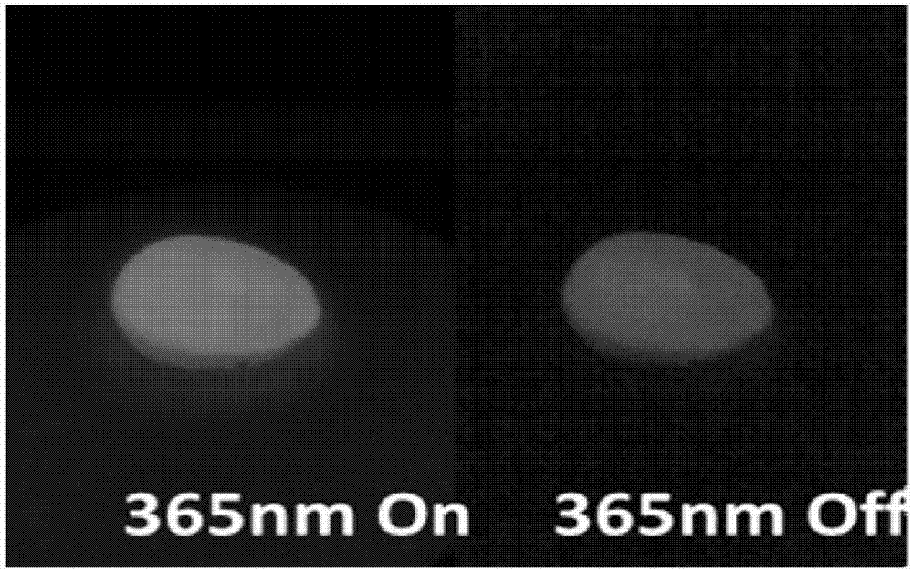 Matrix-free phosphorescent carbon quantum dot as well as preparation method and application thereof