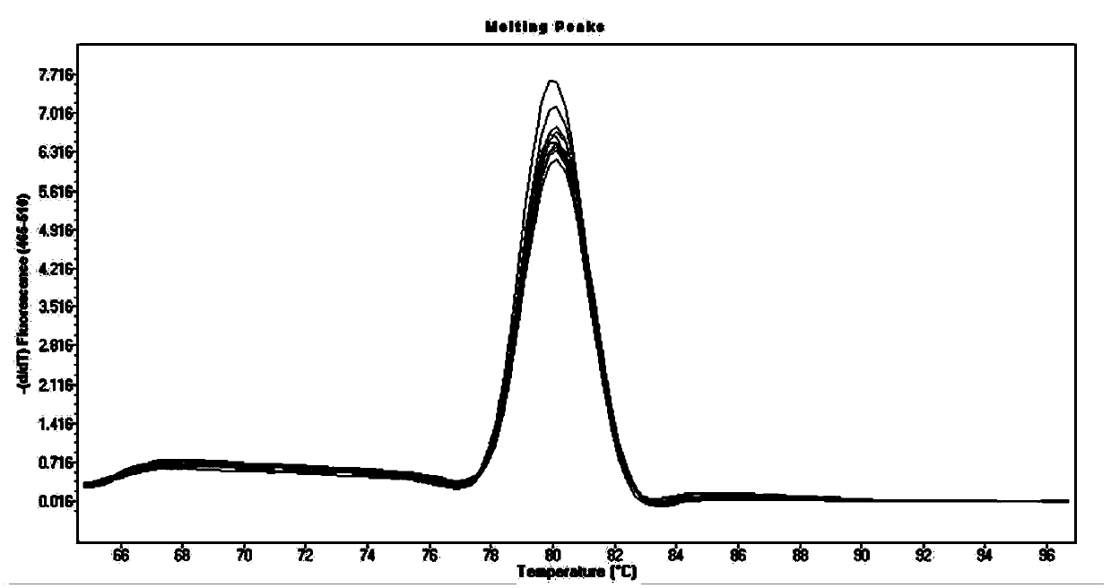 Reference gene has_circ_0000471 of human tissue/cell specimen circRNA and application thereof