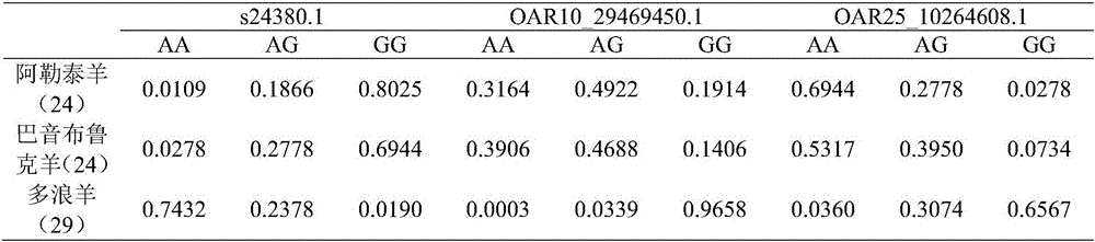 Duolang sheep SNP (single-nucleotide polymorphism) marker, and screening method and application thereof