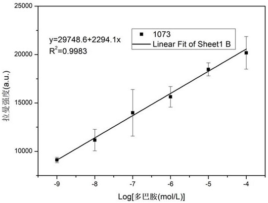 Preparation and application of a surface-enhanced Raman sensor for bimolecular recognition of dopamine