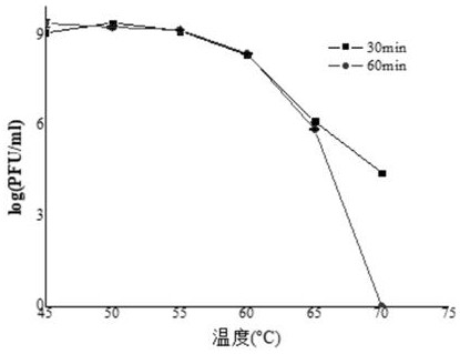 Vibrio bacteriophage PC-Liy1 with cross-species lysis capability, preparation method and application