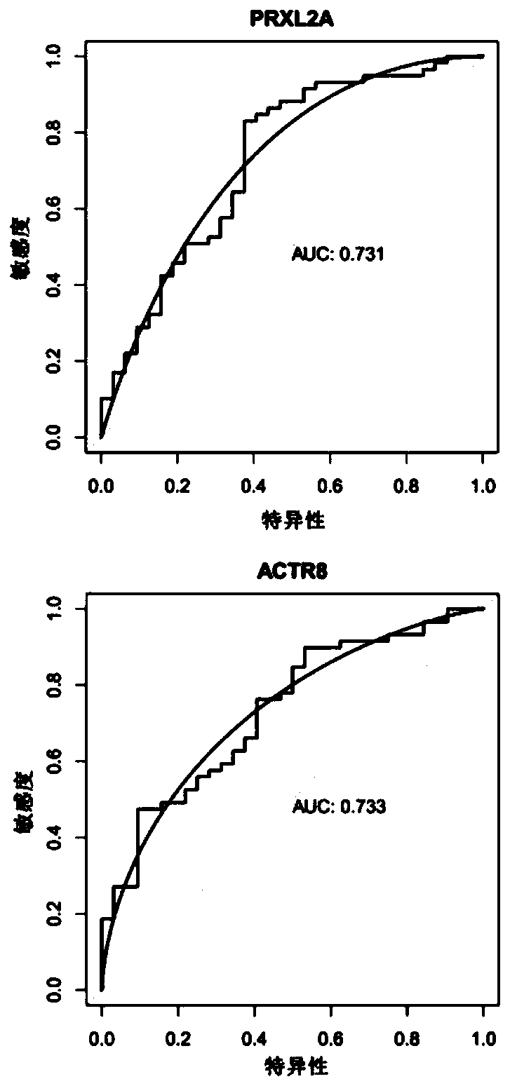 Osteoarthritis disease screening genes PRXL2A and ACTR8 and use thereof