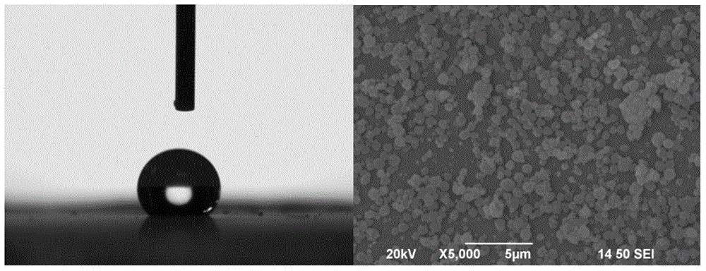 A preparation method of hydrophobic/super-hydrophobic protein coatings