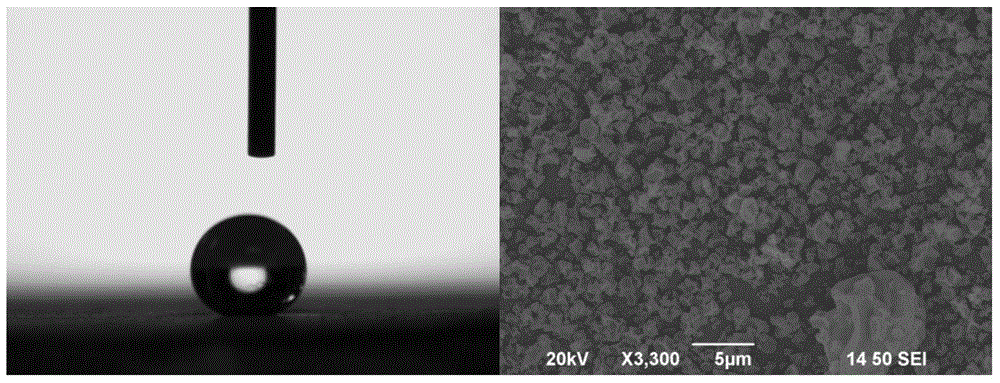 A preparation method of hydrophobic/super-hydrophobic protein coatings