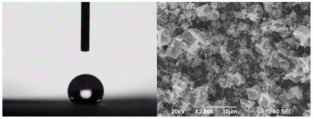 A preparation method of hydrophobic/super-hydrophobic protein coatings